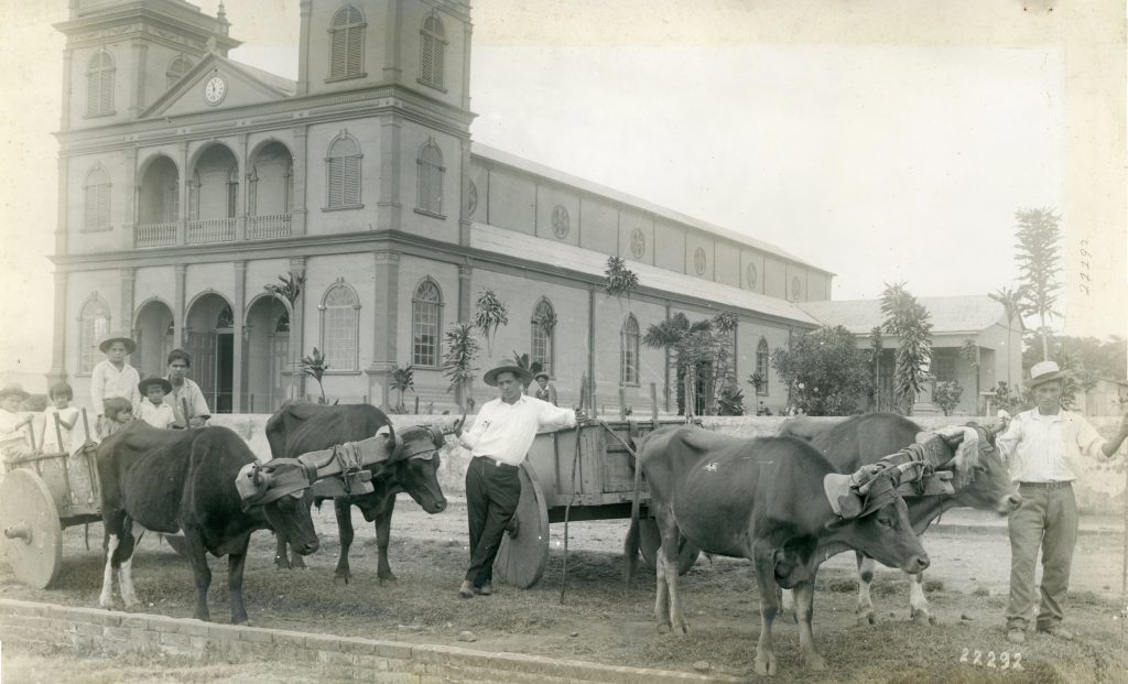 Guadalupe 1928